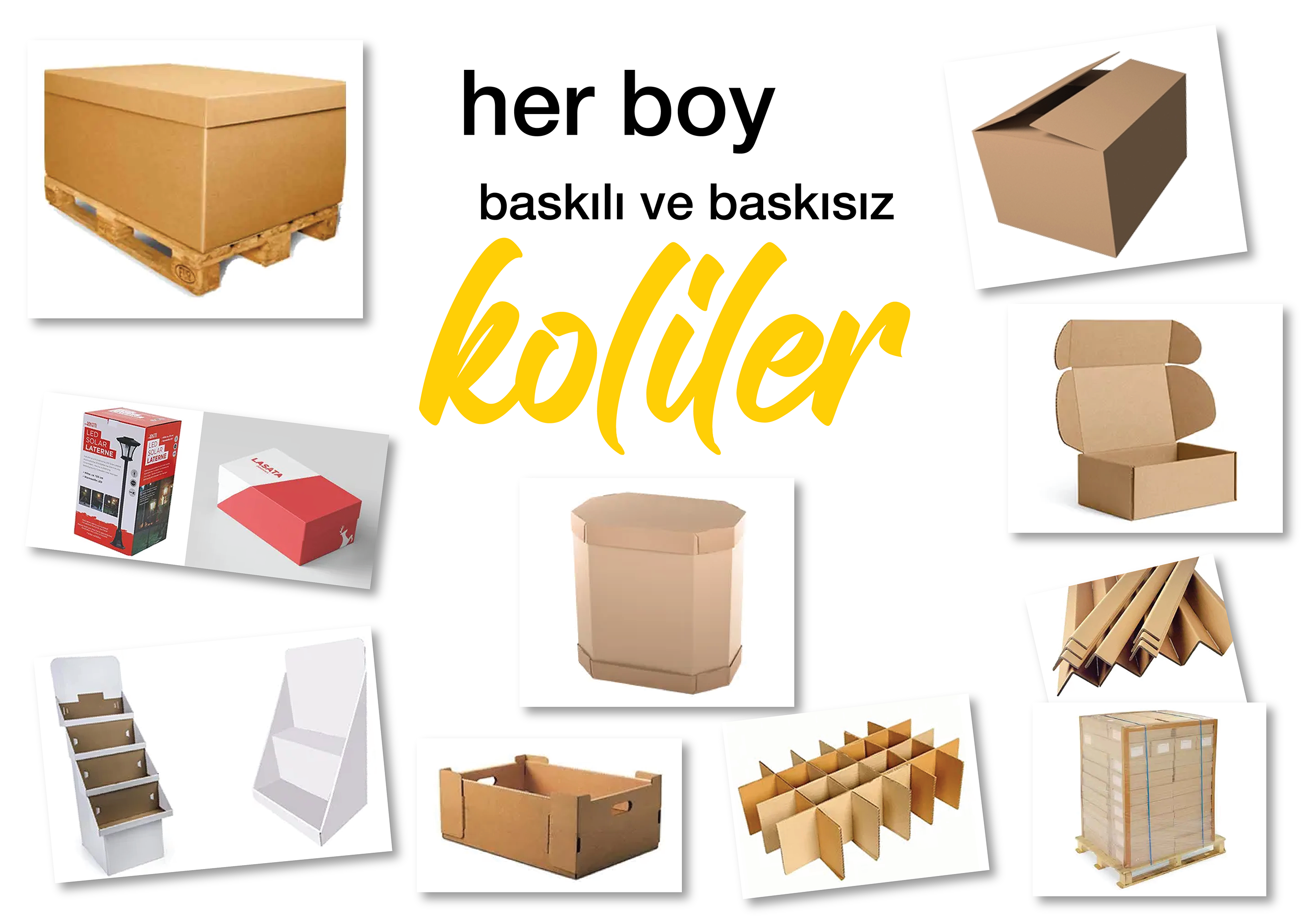 Baskılı & Baskısız Koliler